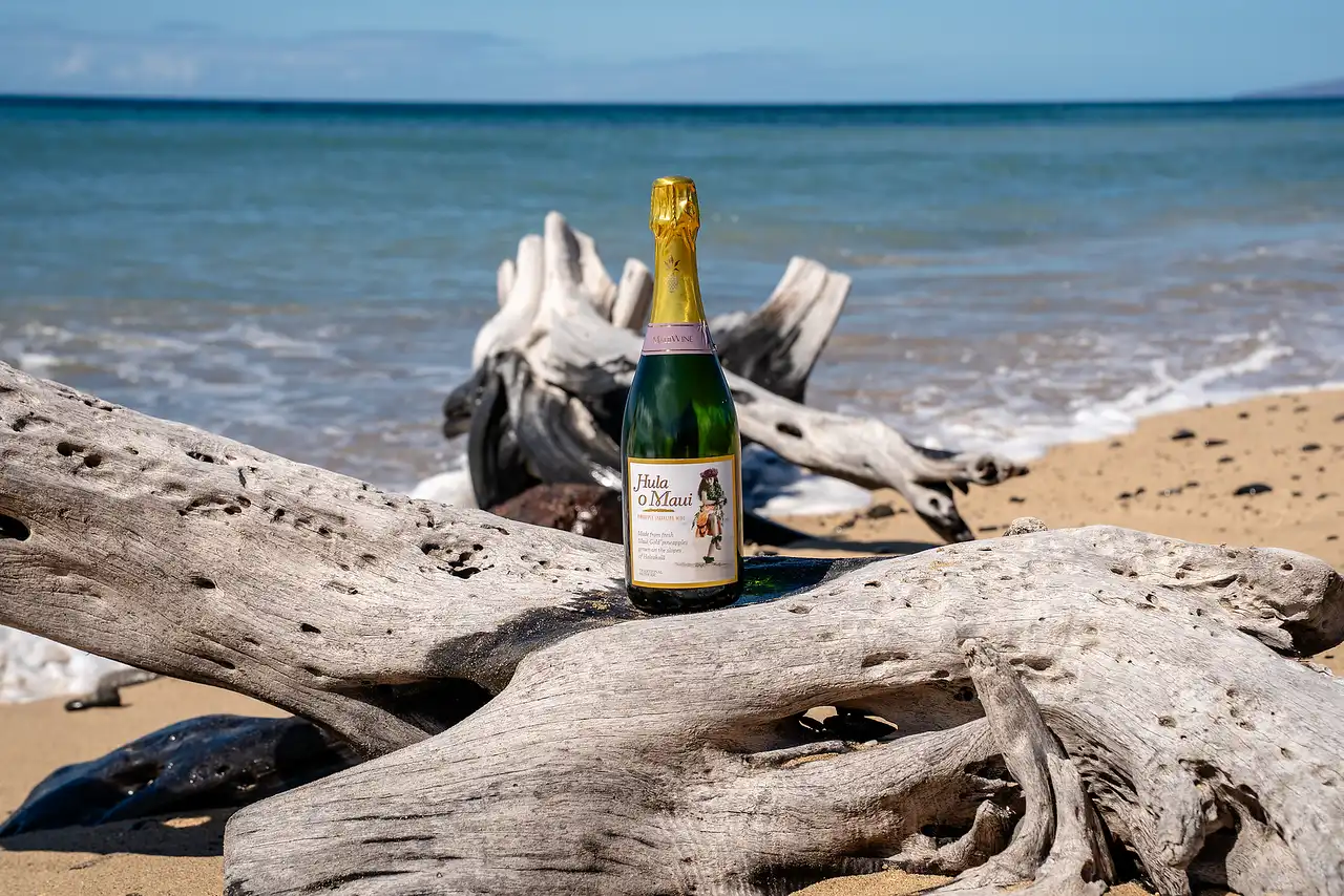 Bottle of Hula o Maui sparkling pineapple wine on driftwood at the beach