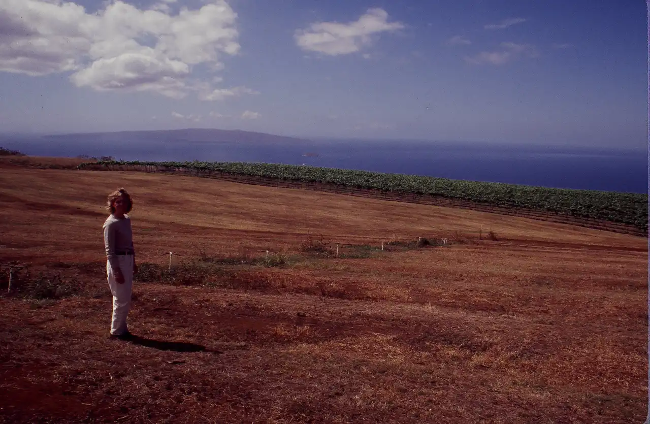 Historic photo of a man standing in a newly cleared vineyard field