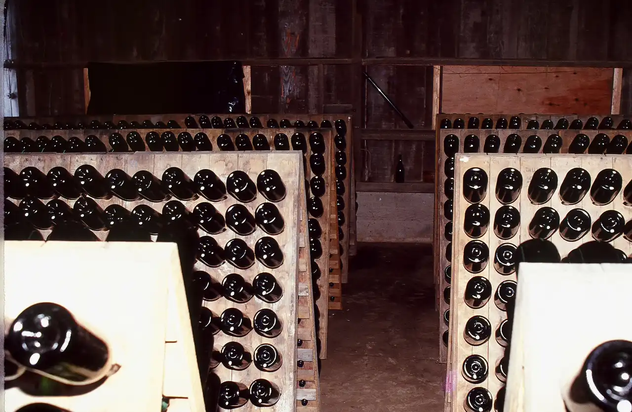 Historic photo of sparkling wine bottles resting in riddling racks