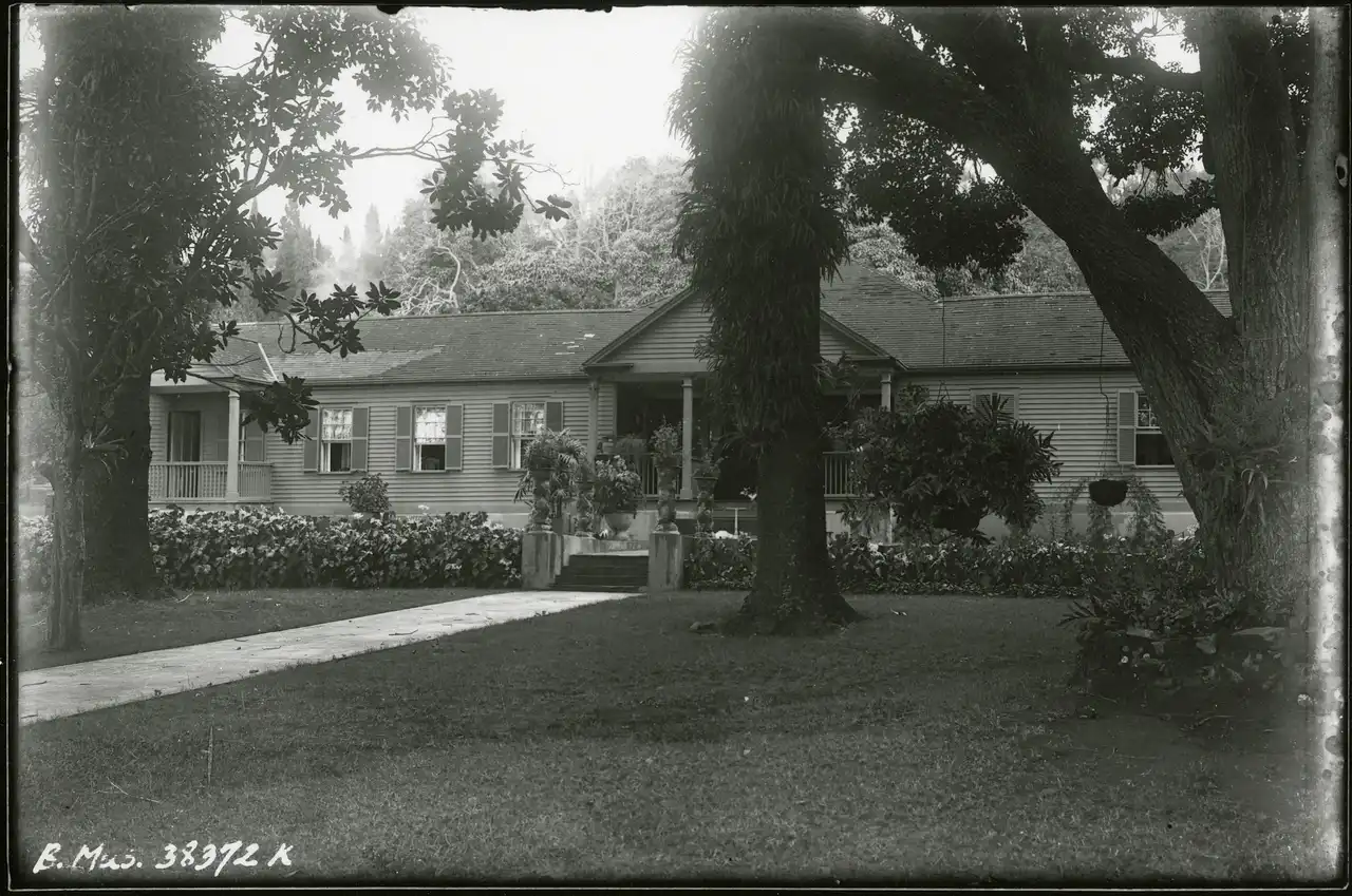 Historic black and white photo of the Rose Ranch house under large trees