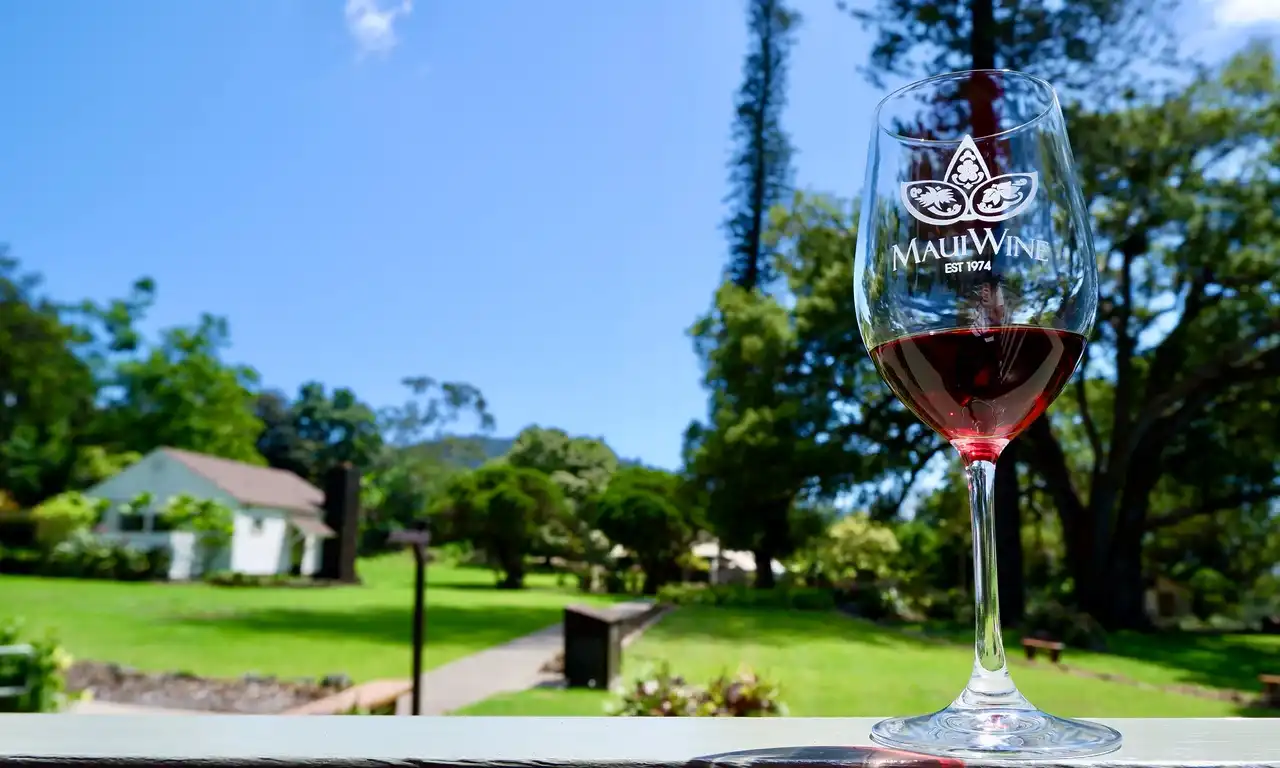 Glass of red wine raised over the historic estate lawn