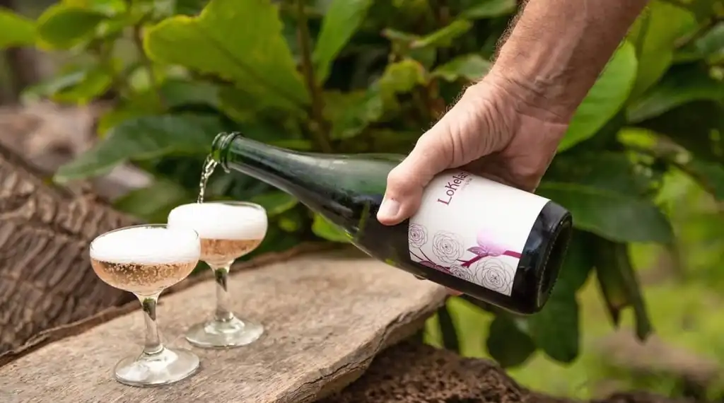 Pouring Lokelani sparkling rosé into coupe glasses outdoors