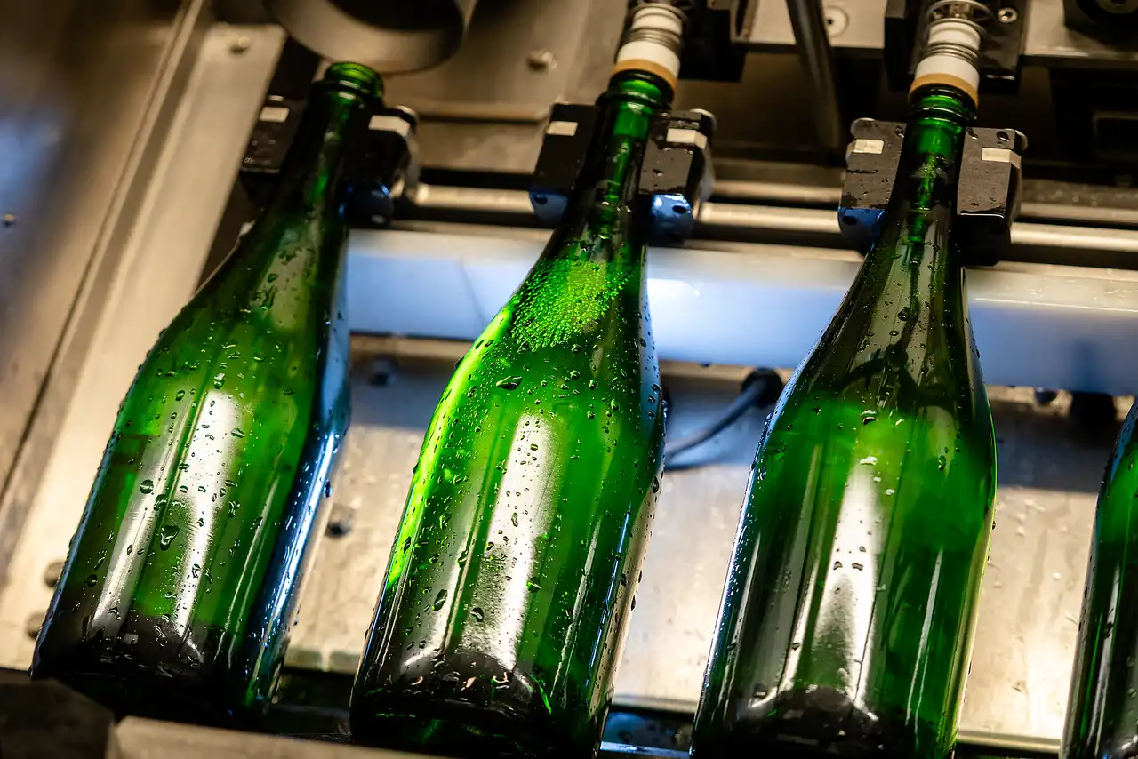 Close-up of green sparkling wine bottles moving through production