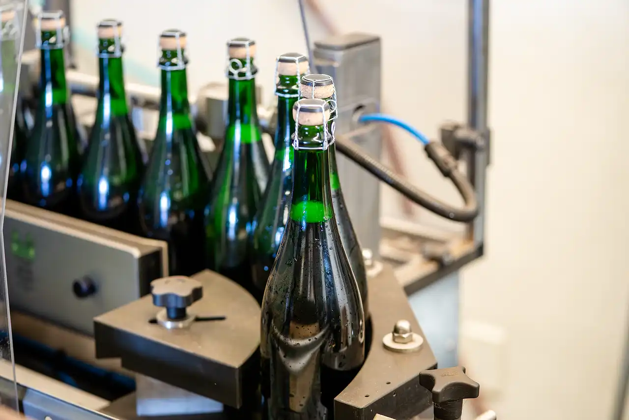 Sparkling wine bottles on the corking line