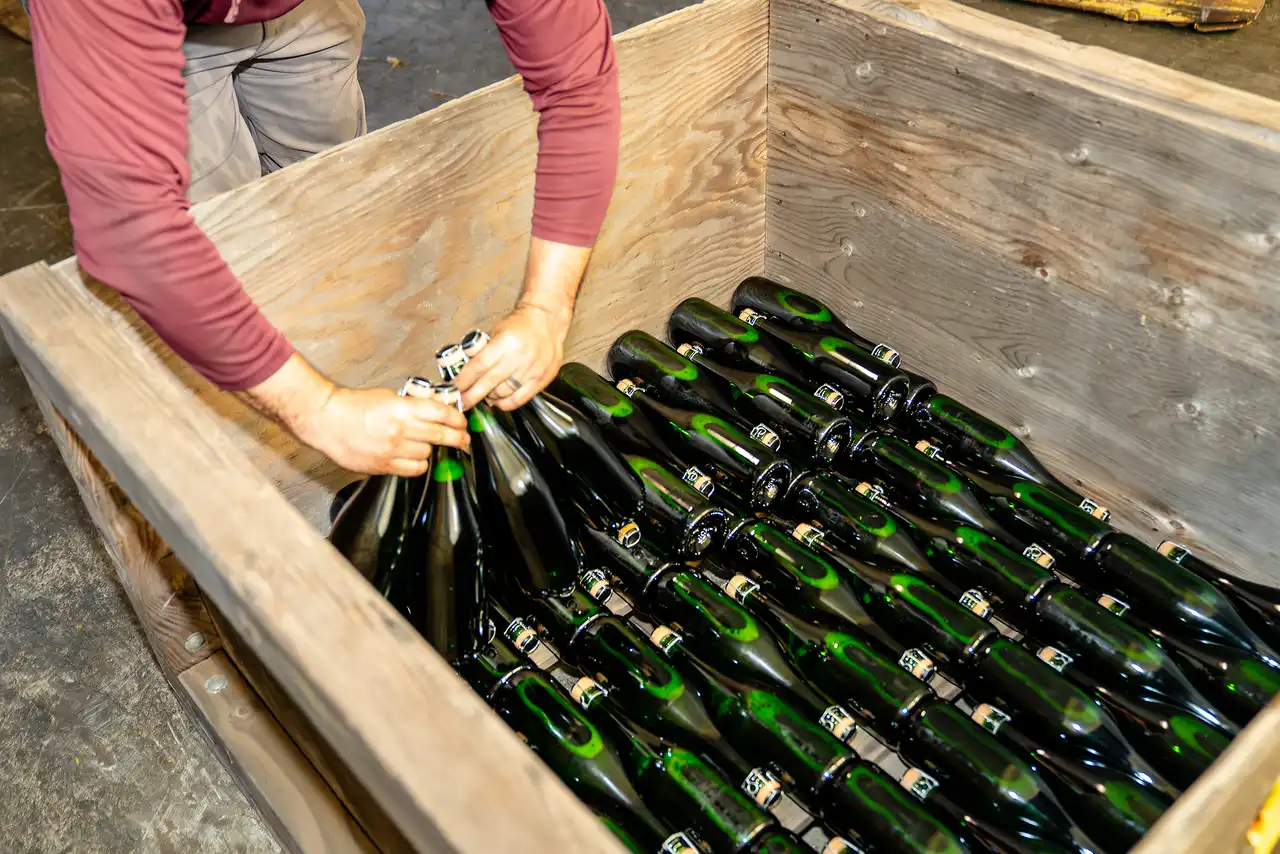 Winery worker stacking sparkling wine bottles in a wooden crate