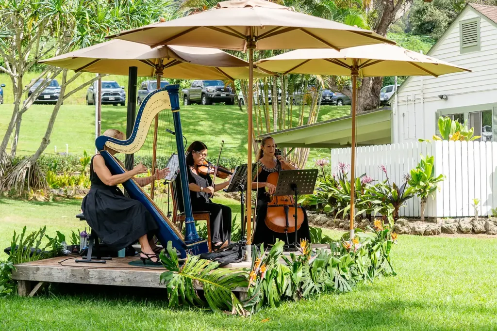 Harpist and violinist performing under umbrellas at a wine club event
