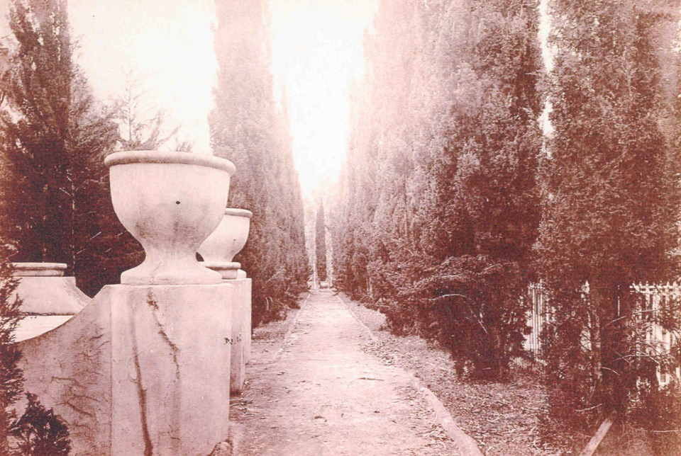 Historic photo of a tree-lined garden path at Rose Ranch