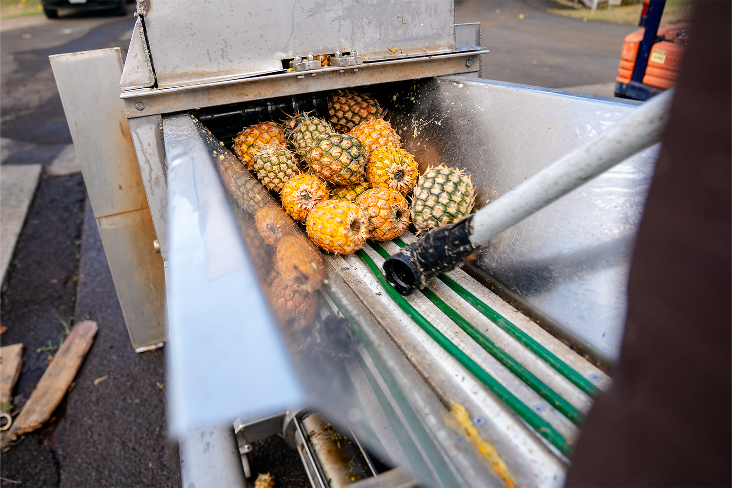 Pineapple Juicing