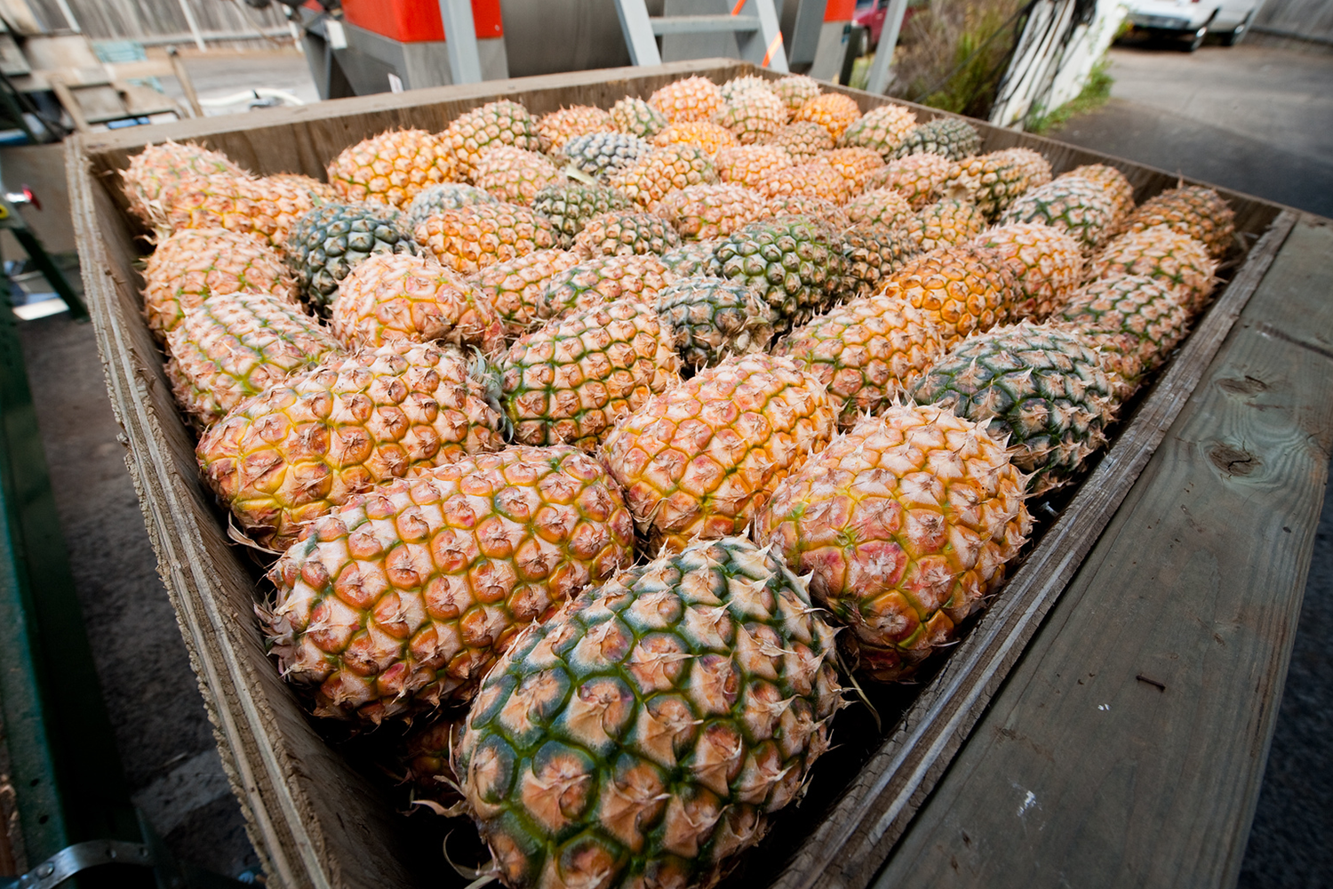 Pineapple Pre-Crush
