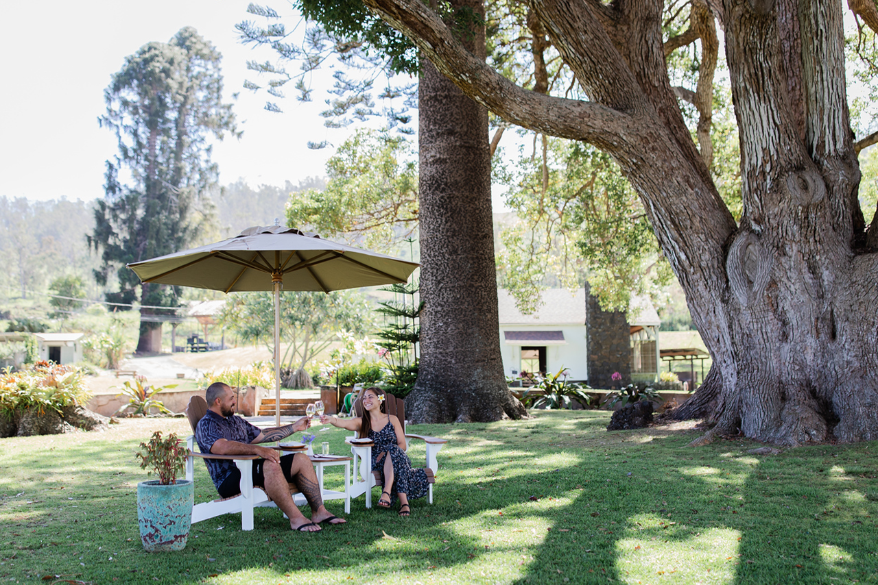 Guests relaxing at a garden table under the camphor tree