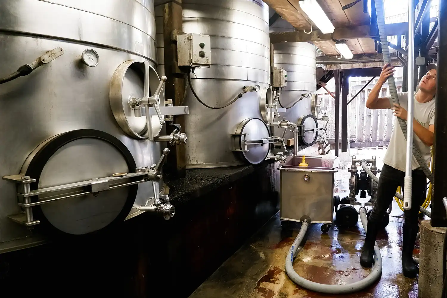 Winemaker working beside stainless steel tanks in the cellar