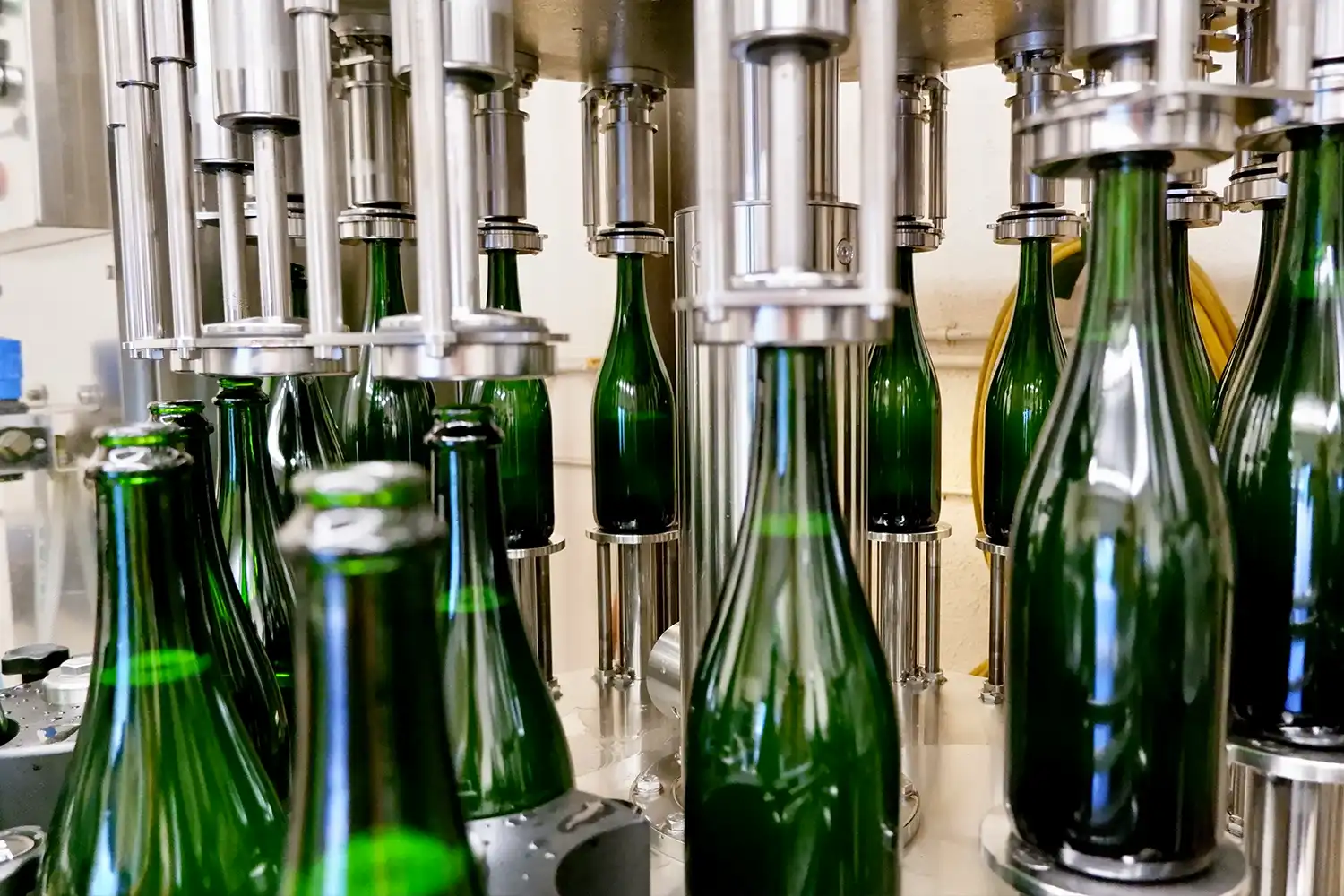 Green sparkling wine bottles being filled on the bottling machine