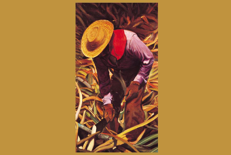 Vintage photo of a worker in a straw hat harvesting fruit by hand